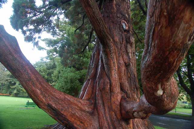 Beacon Hill Park